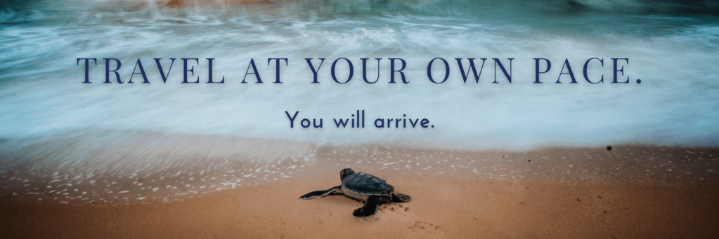 A baby sea turtle on a beach looking out into the vast ocean with overlaid text that says "Travel at your own pace. You will arrive."